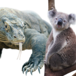 What Animal Has the Lowest IQ? (10 Examples)